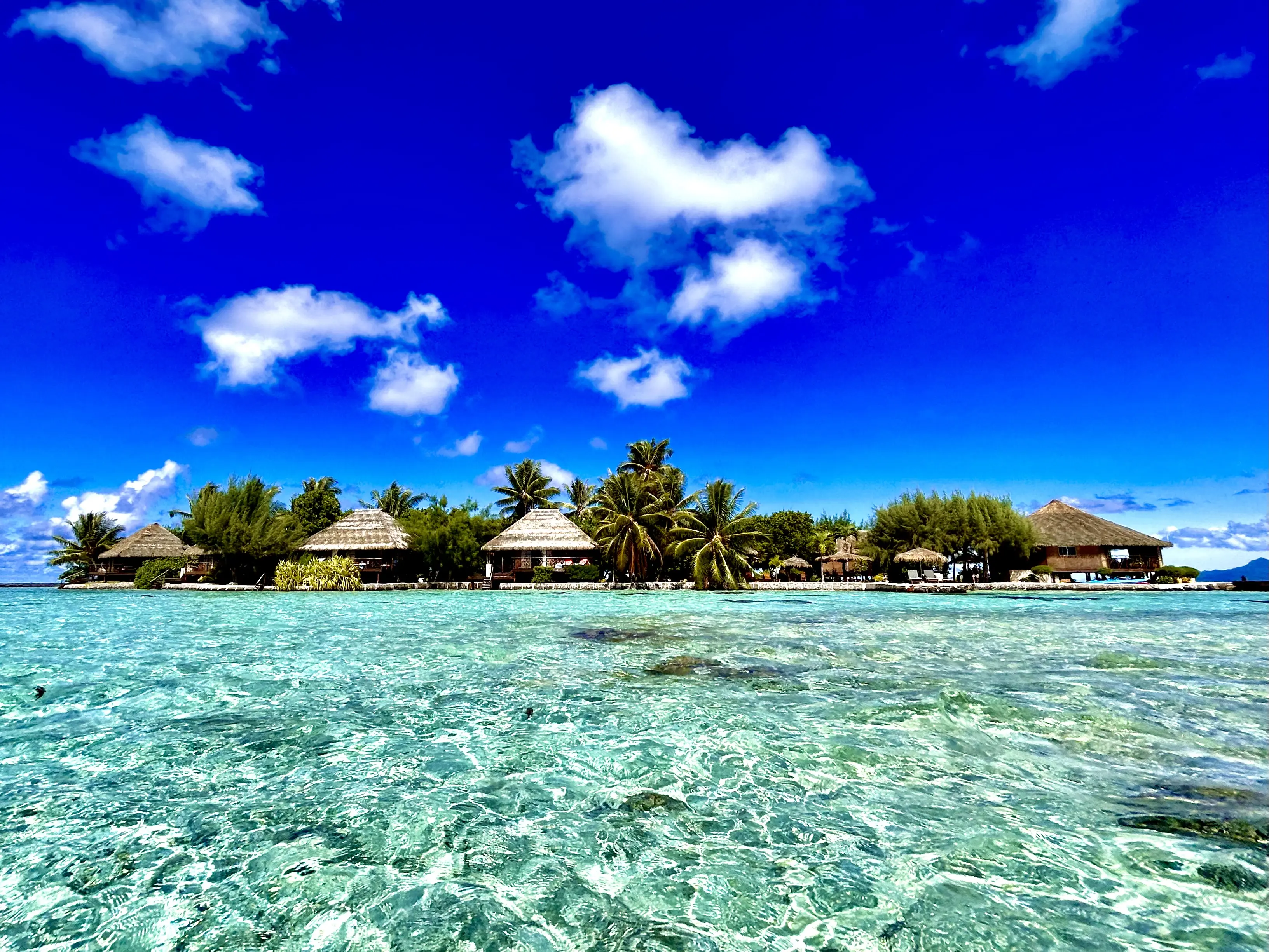 Luxury room at Hotel EDEN Taha'a private island